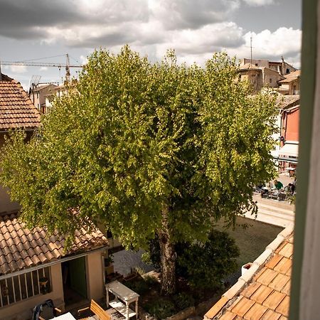 La Maison Du Bassin L'Isle-sur-la-Sorgue Kültér fotó