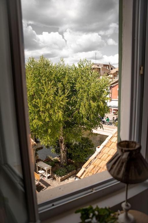 La Maison Du Bassin L'Isle-sur-la-Sorgue Kültér fotó